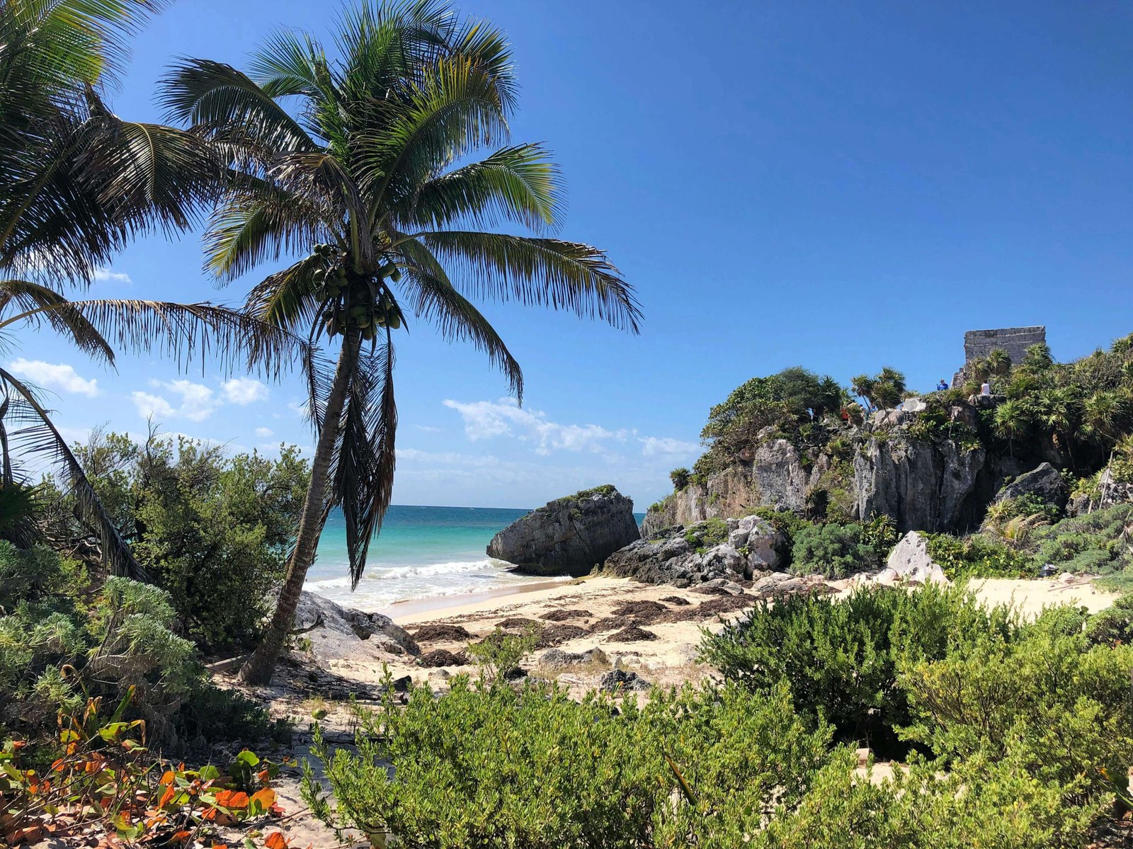 Tulum Private Transportation Fleet