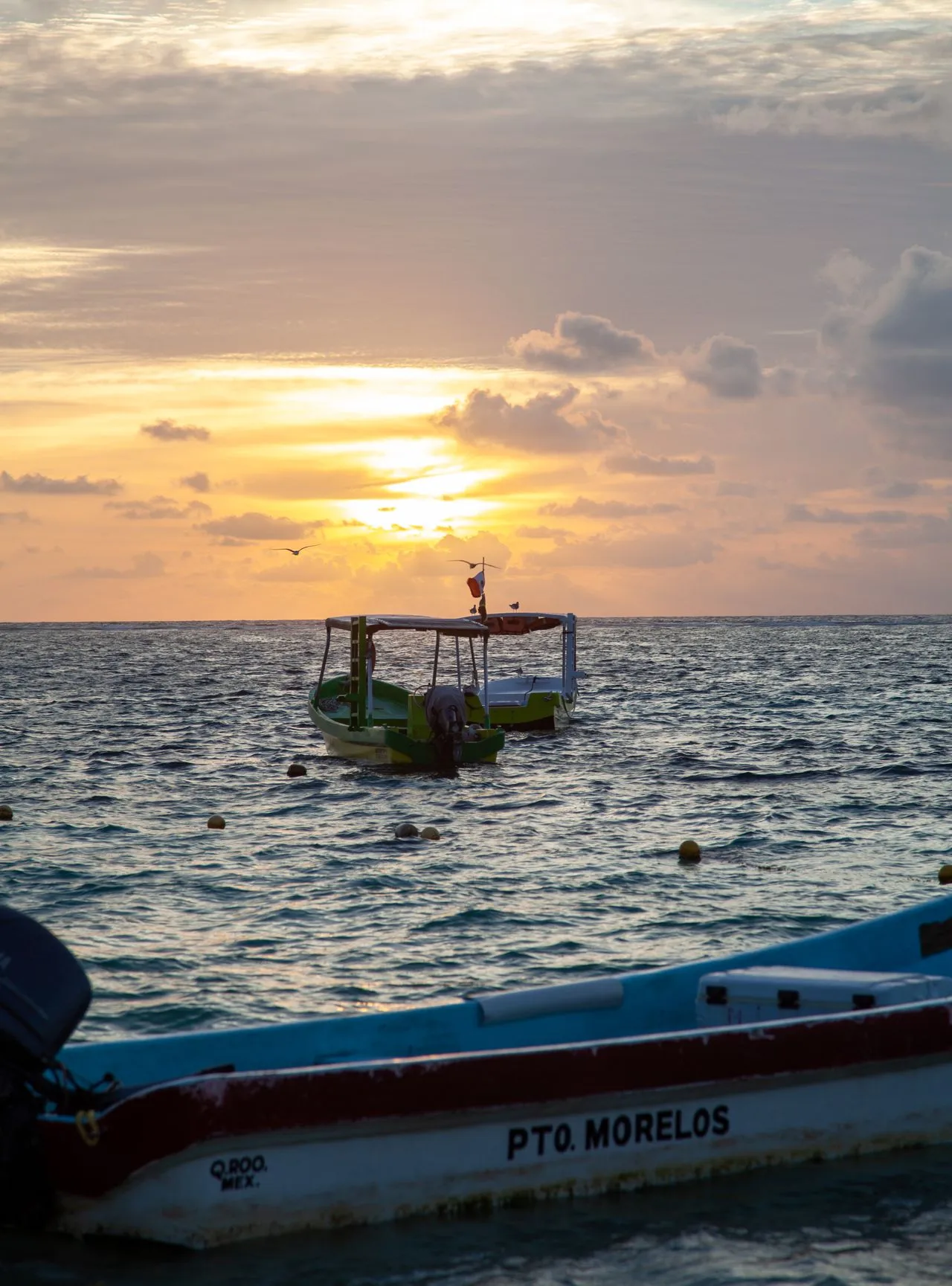 Private Transportation in Puerto Morelos 1