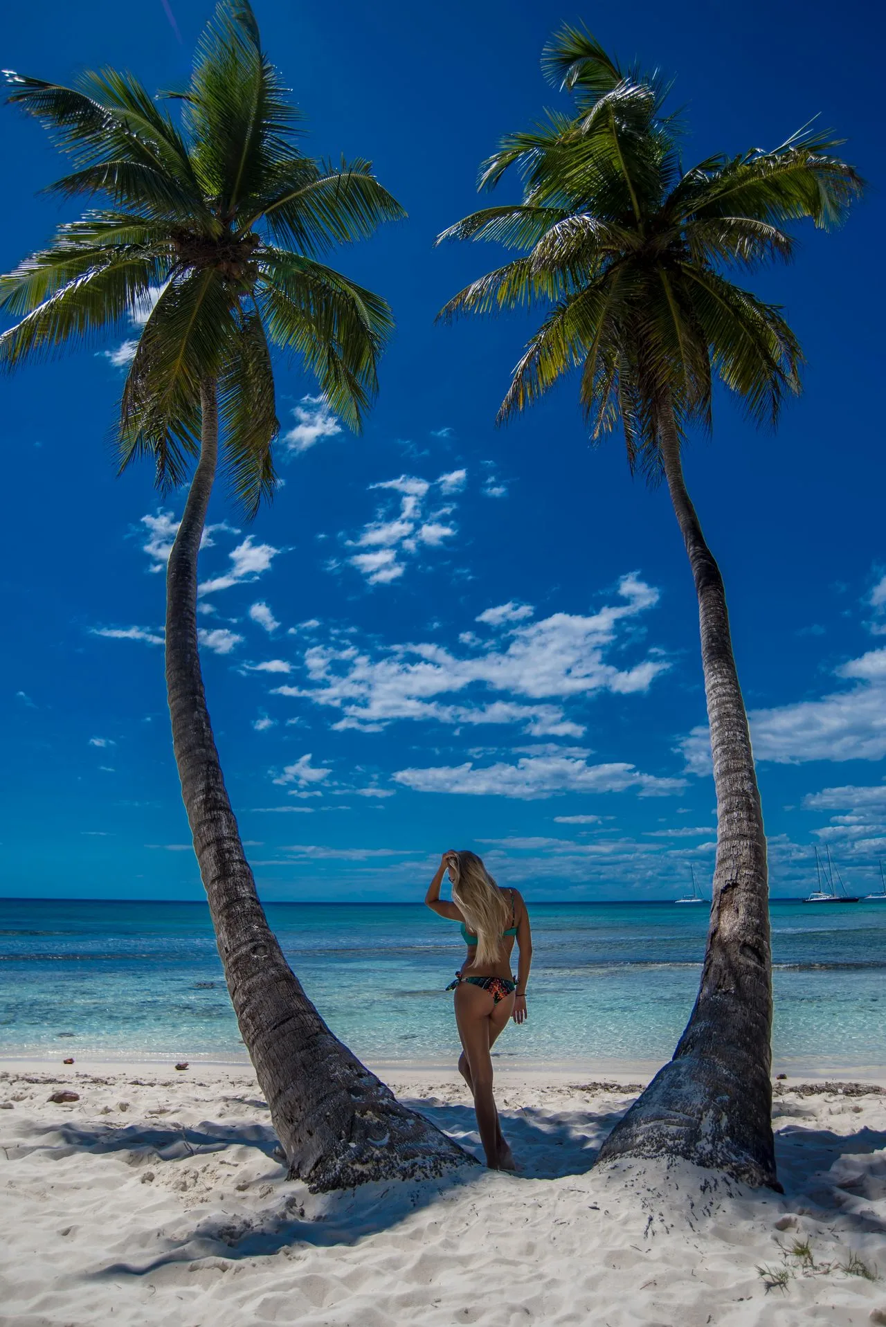 One Driver for Your Whole Tulum Itinerary